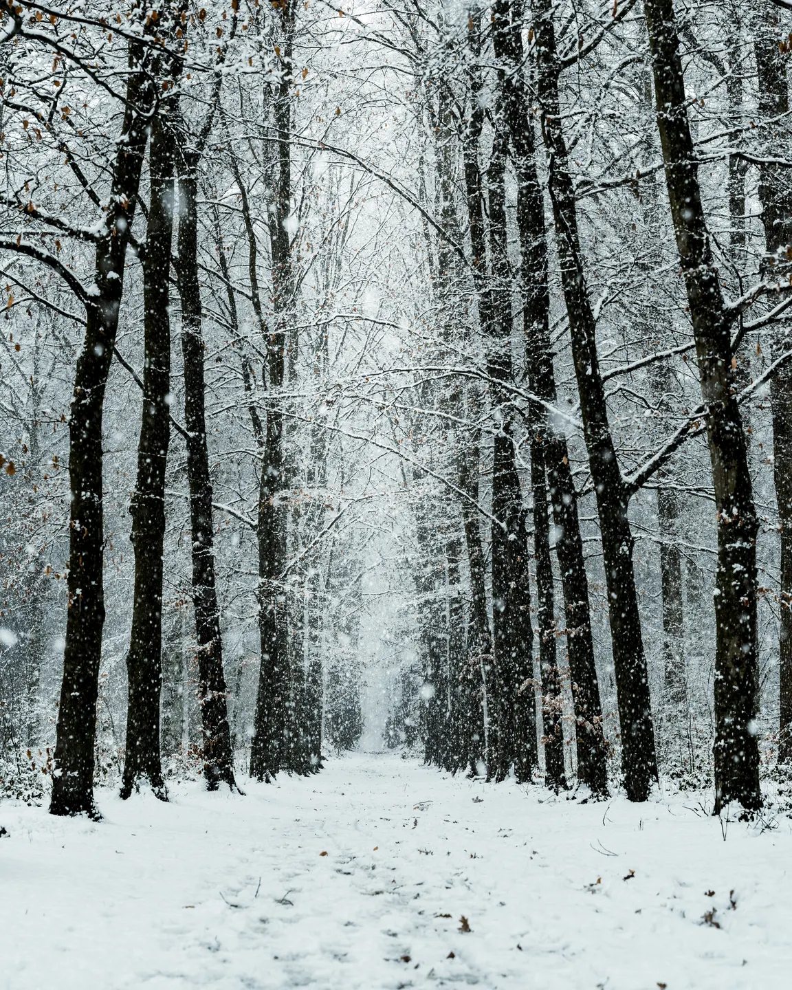 Travel photography by Frame That Visual — DSC01613