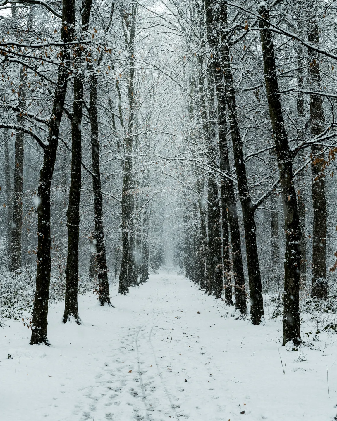Travel photography by Frame That Visual — DSC01615