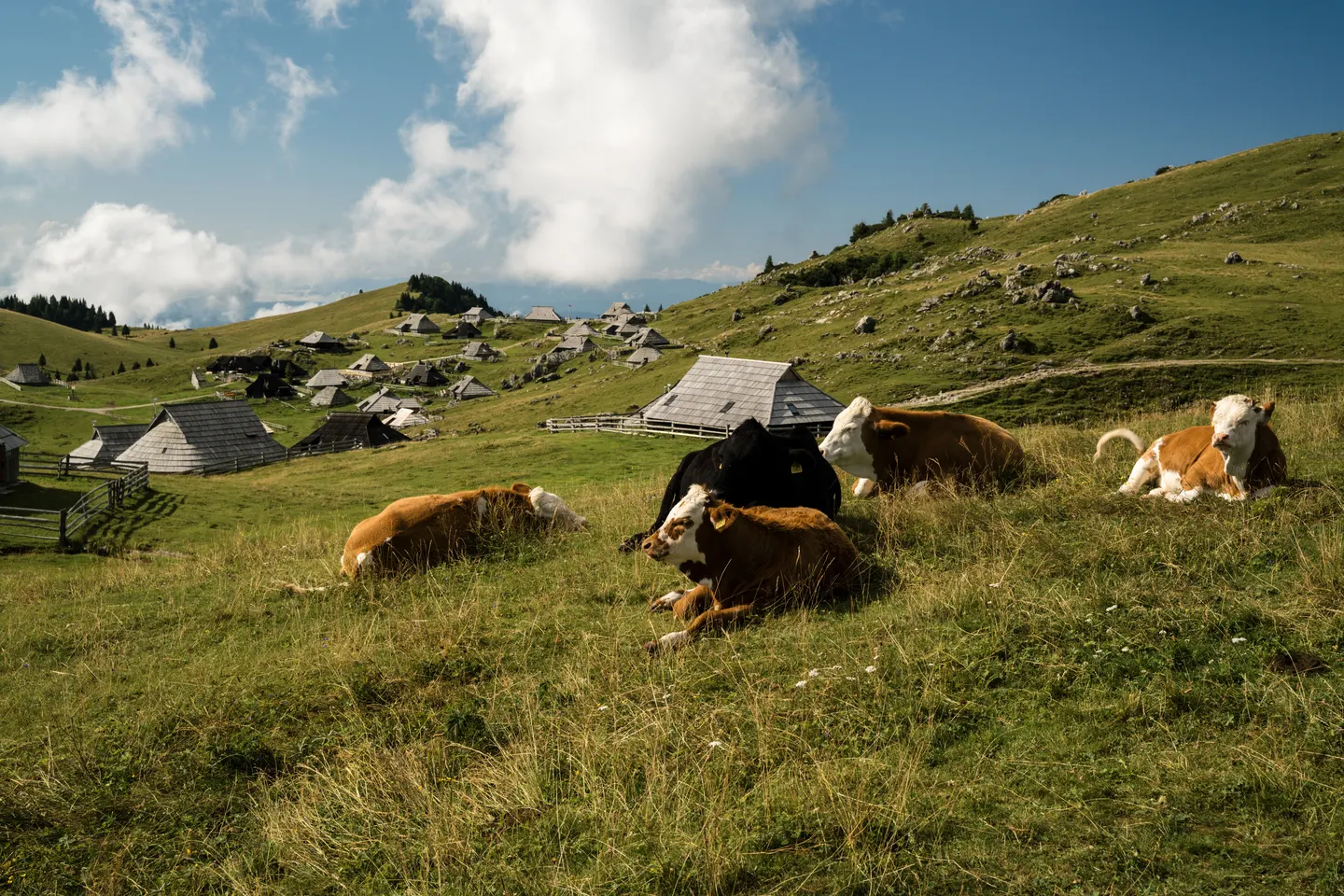 Travel photography by Frame That Visual — DSC06673