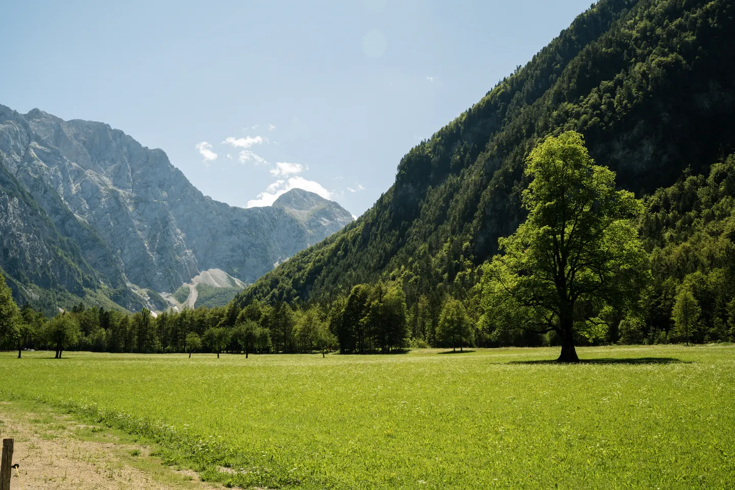 Travel photography by Frame That Visual — DSC06787