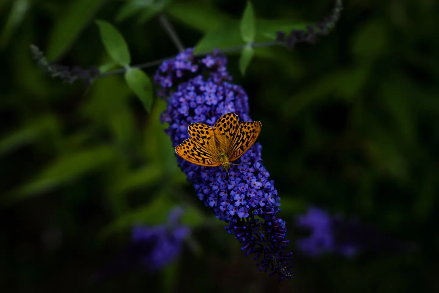 Travel photography by Frame That Visual — DSC07156