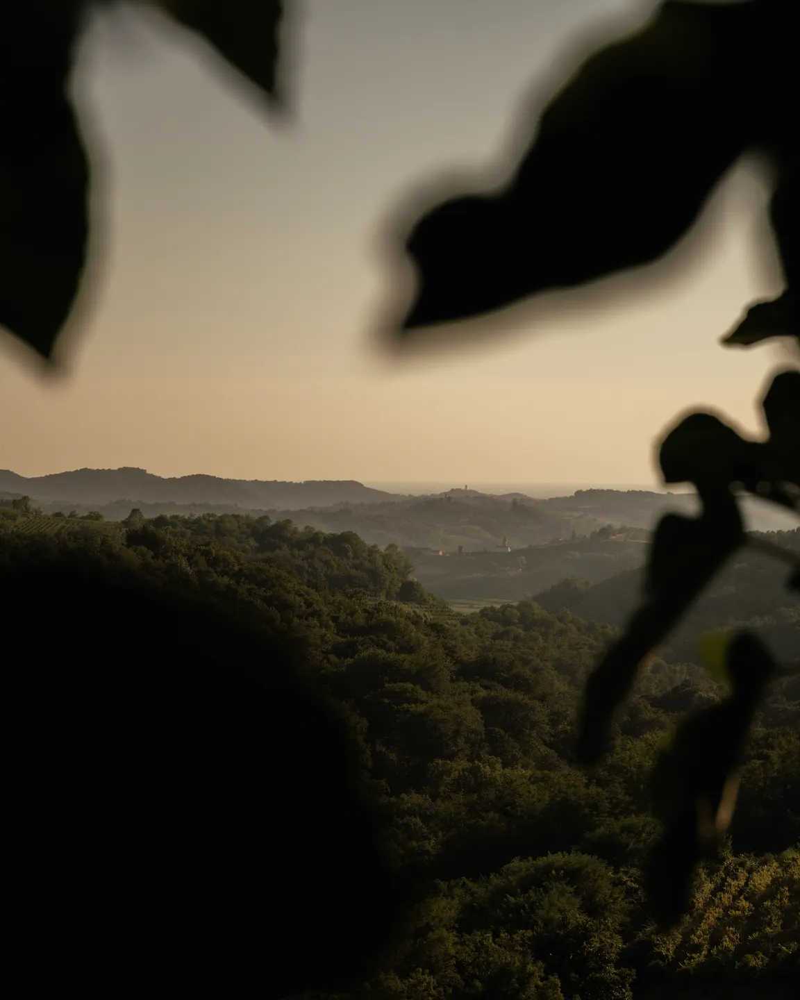 Travel photography by Frame That Visual — DSC07230