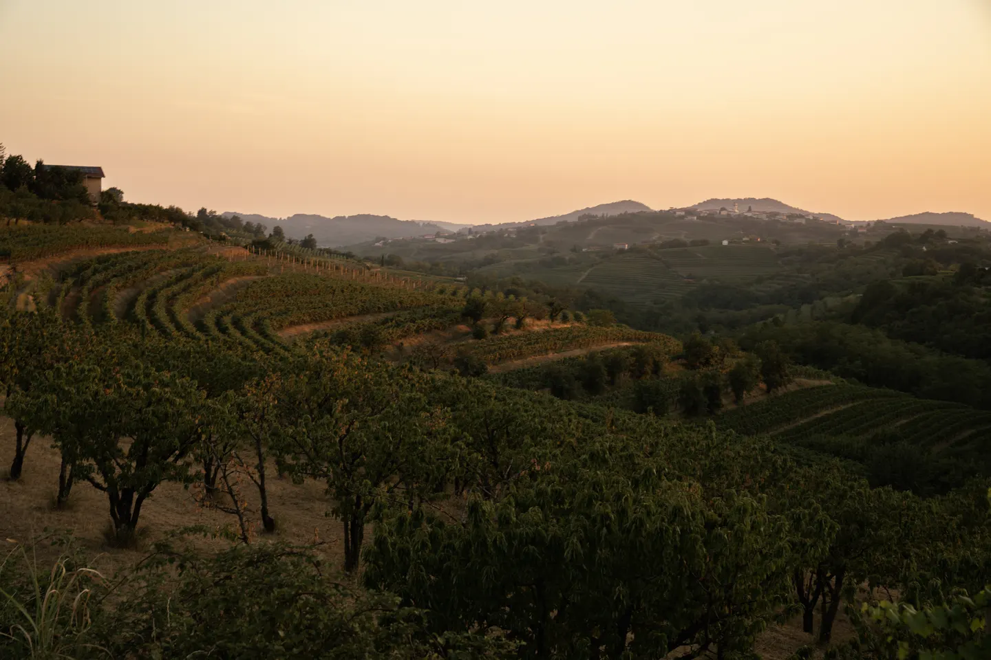 Travel photography by Frame That Visual — DSC07316