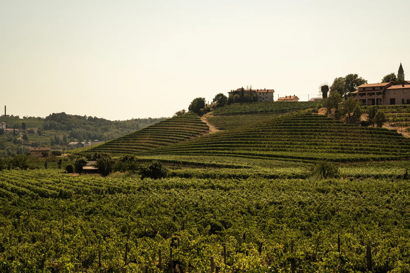 Travel photography by Frame That Visual — DSC07329