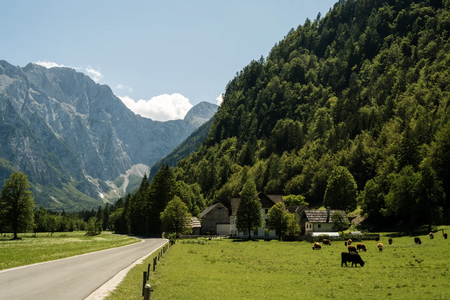 Green valley at the foot of high mountains