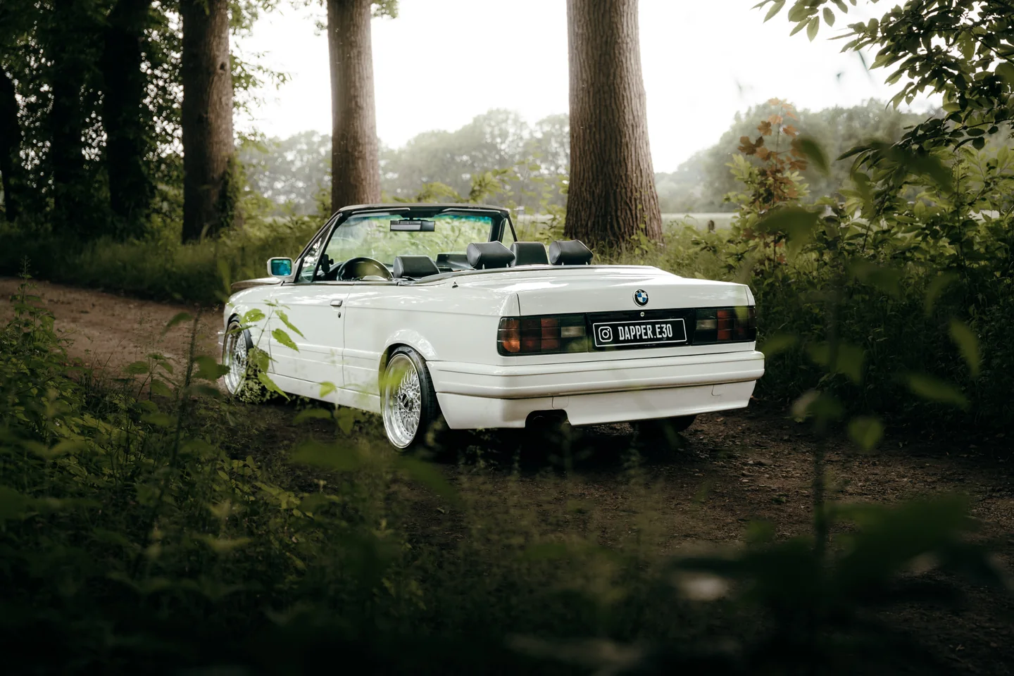 White classic convertible among greenery