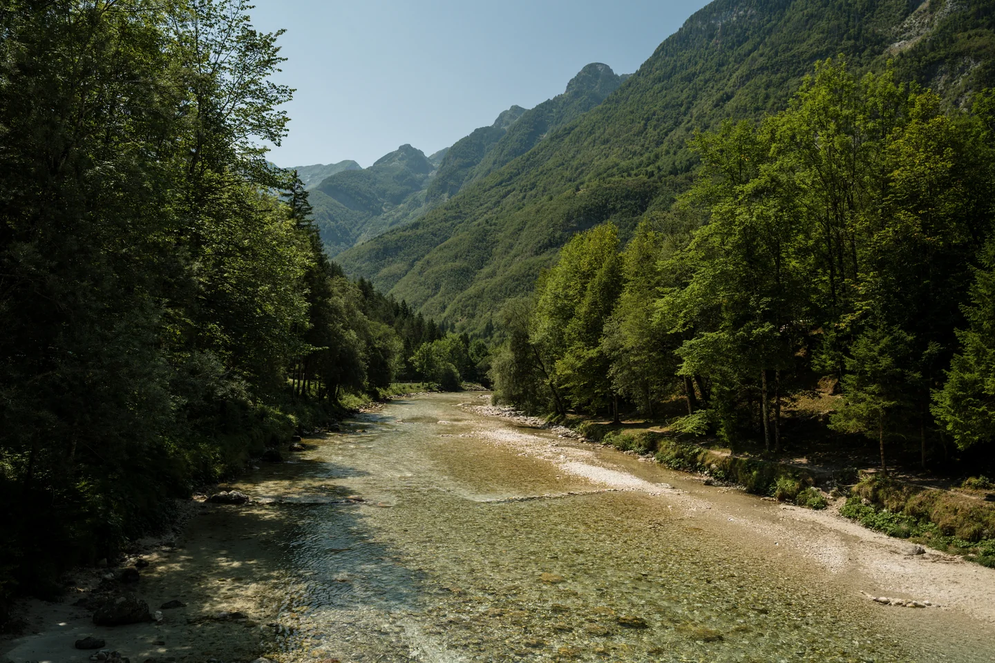 Clear mountain river between trees